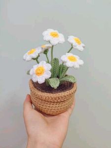 Crochet Flower Pot Plant Handmade