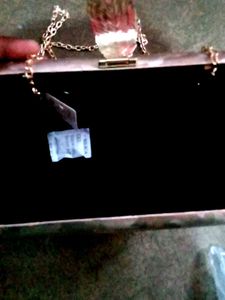 Party Wear Golden Handbag