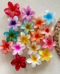 Floral Hair Claw Clips - Pack Of 4