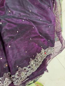 Diamond Work Saree