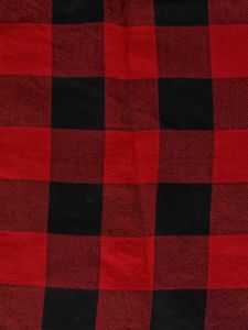 Red &amp; Black Check Shirt