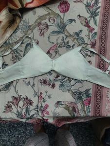 Padded Bra