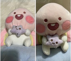 Cute Rainbow Plushie