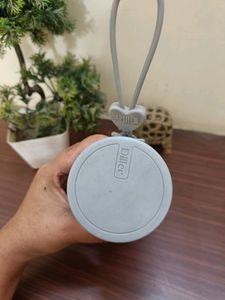Thermos Bottle Grey Colour