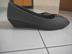 Gray Wedge Bellies