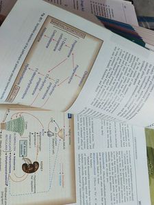 Medical Pharmacology By Kd Tripathi