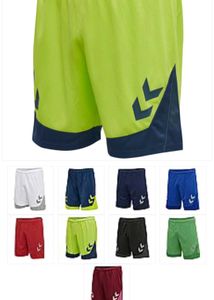 Hummel hml Lead Poly Soccer shorts