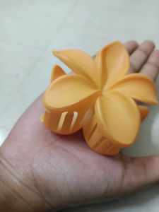HAIR CLUTCH