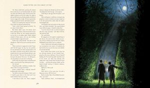 HARRY POTTER Illustrated Book