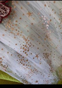 Embroidered Lehenga Choli