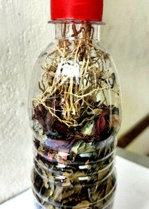 Roots and Herbs in Bottle