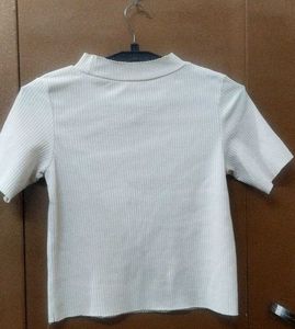 Striped Perfection - Fitted Round Neck Top