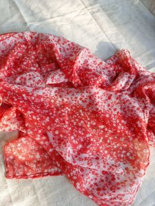 Elegant Scarf Set of two