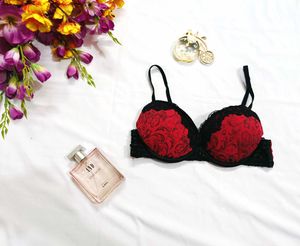 🇳🇿💫 Heavy Paded Sexy Bra Imported Stuff