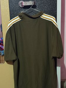 Olive Green Striped Polo Shirt