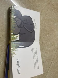 Mamma&#39;s and Pappa&#39;s in the Wild Book Set