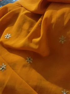 Beautiful Orange Saree