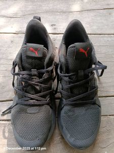 Puma Sneakers For Men