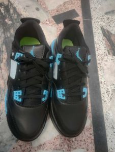 Air Jordan 4 Silhouette