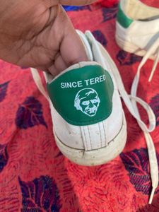 Since Tered White Colour Sneaker