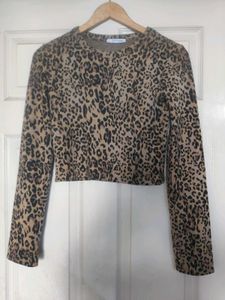 Zara Animal Print Crop Top