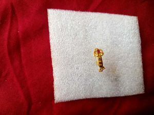 Original Gold Nose Ring