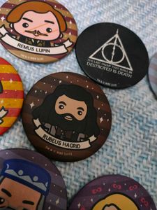 Harry Potter Souled Store Badges