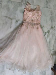 Blush Pink Embroidered Gown