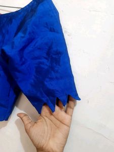 Light Green Saree With Blue Blouse