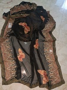 Elegant Meena Patan Saree