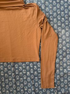 Brown Turtleneck Long Sleeve Top