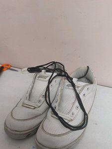 Sparx White Sneakers