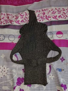 Sparkly Turtleneck Top
