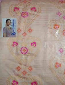 Elegant Multi colour Saree