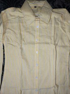 Summer Essential Pintresty Shirt For Women