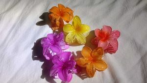 Set of 6 -Hair Claw Clips