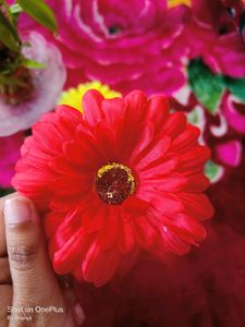 Woman Flower Yellow &amp; Red Clip 💛♥️