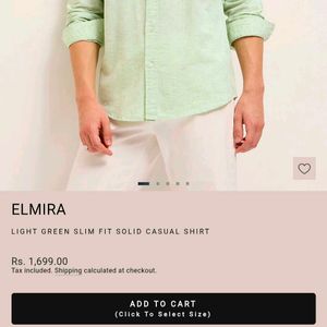 Light Green Casual Shirt,The Bear House