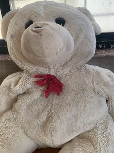 Big Size Taddy Bear