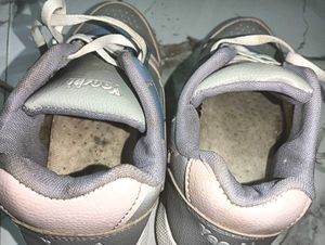 Paste Colours Casual Shoes 👟