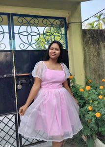 Customized Organza Mini Dress