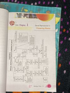 Class XII Biology Book(free support material)