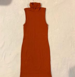 Zara Turtleneck Fitted Dress