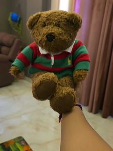 tshirt bear