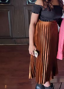Pleated Bronze Skirt