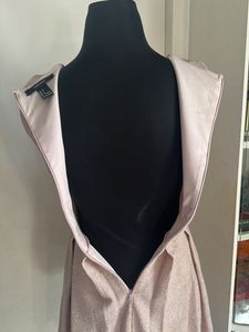 Forever 21 blush metallic Skater Dress