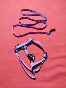 Small Dog Harness