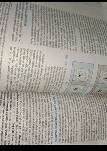 Class 11th Physics NCERT Part 1 And 2