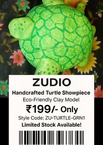 Clay Turtle