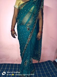 Net Disigner Sareee